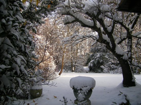 immagine giancristofaro