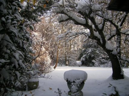 immagine giancristofaro